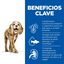 Hill's Science Plan Senior 11+ Small y Mini pollo pienso para perros, , large indicador imagen numero 4